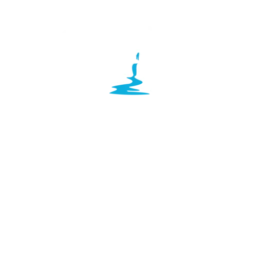 Wild Sky Adventure Guides Logo